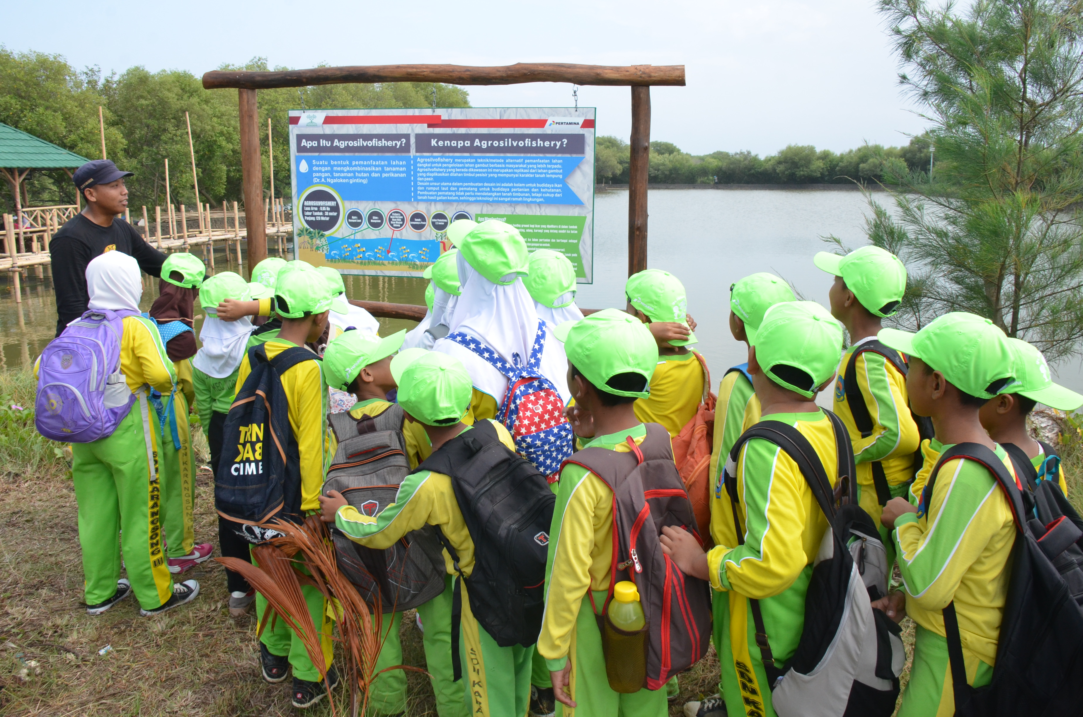 Arboretum Mangrove untuk pendidikan
